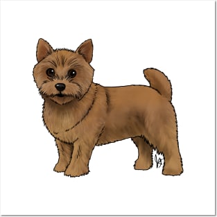 Dog - Norwich Terrier - Red Posters and Art